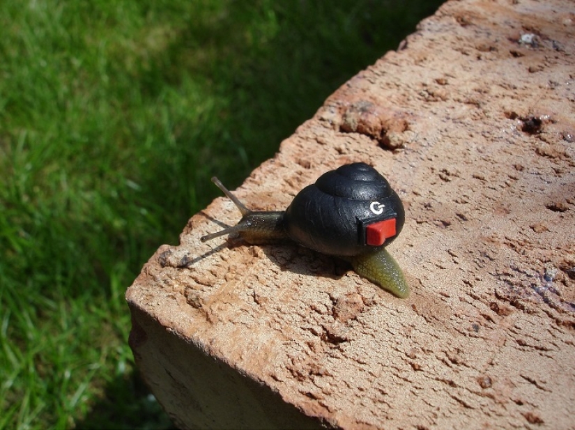 Painted snails - mobile gallery!