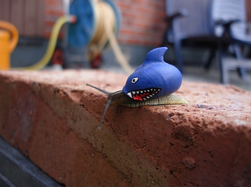 Painted snails - mobile gallery!