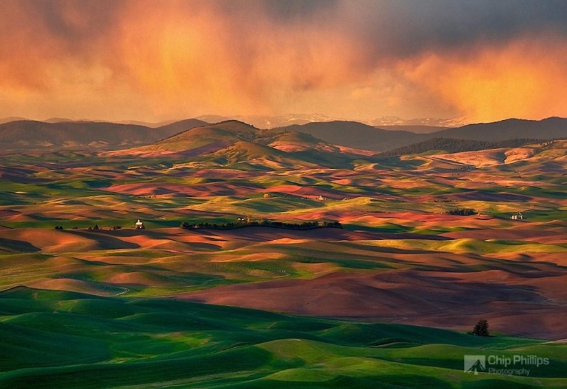 Paisajes mágicos de Chip Phillips