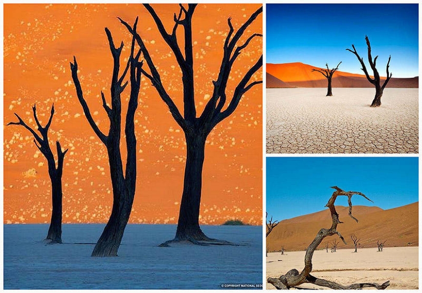 Paisajes surrealistas del parque Namib-Naukluft