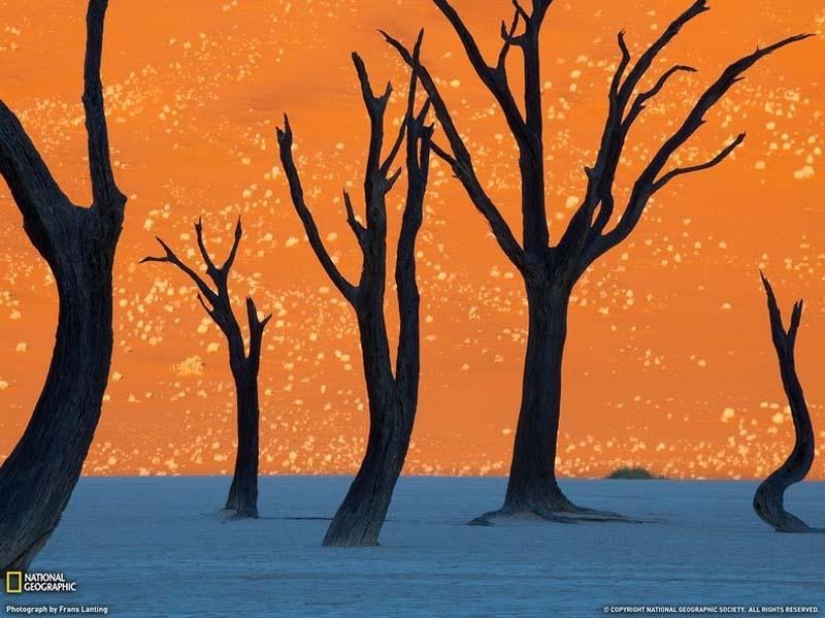 Paisajes surrealistas del parque Namib-Naukluft
