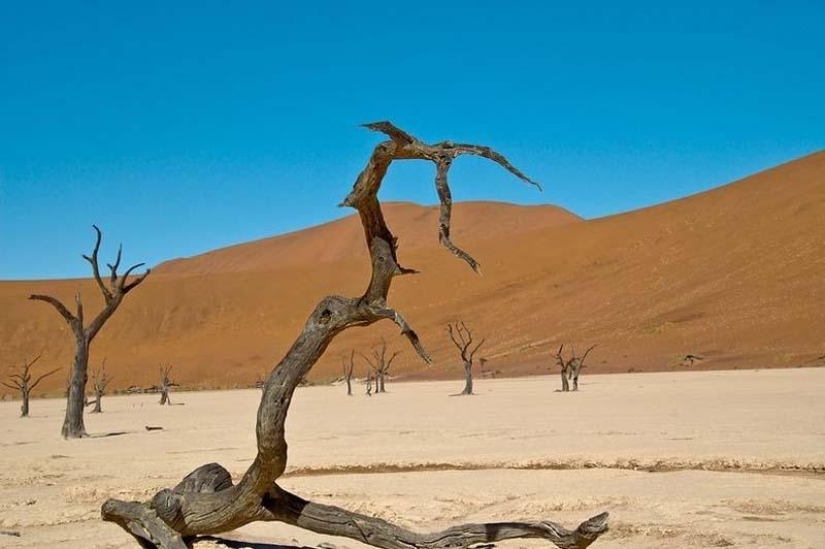 Paisajes surrealistas del parque Namib-Naukluft