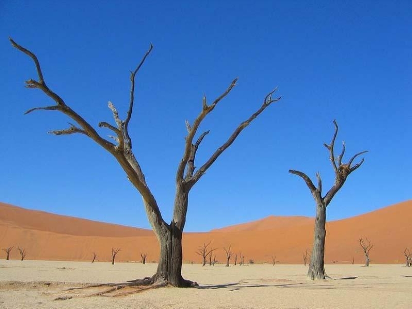 Paisajes surrealistas del parque Namib-Naukluft