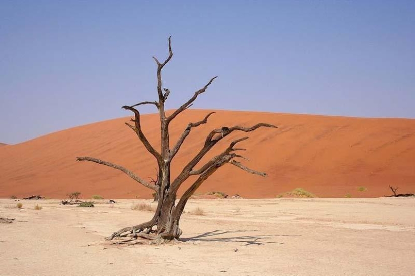 Paisajes surrealistas del parque Namib-Naukluft
