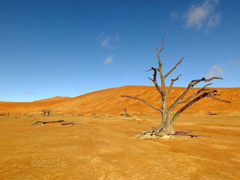 Paisajes surrealistas del parque Namib-Naukluft