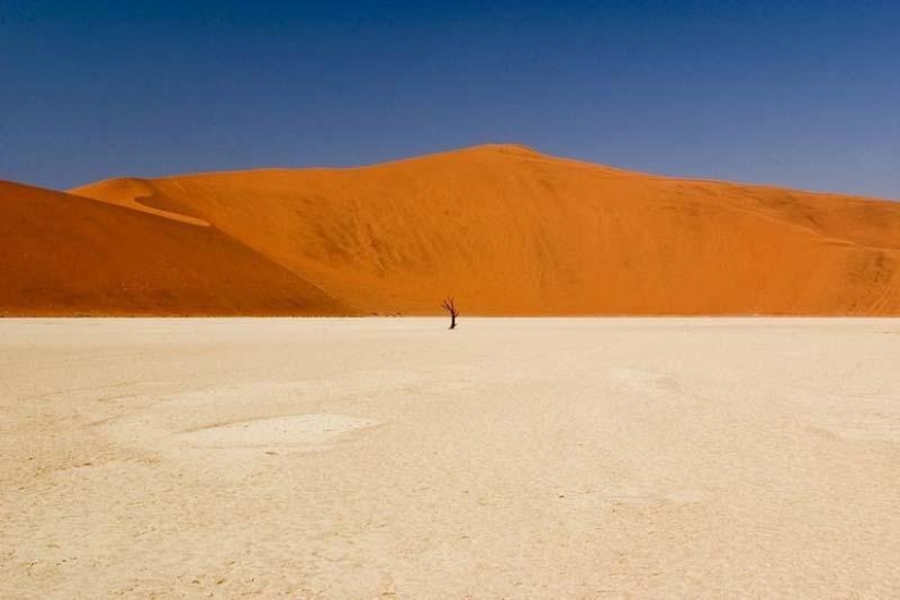 Paisajes surrealistas del parque Namib-Naukluft
