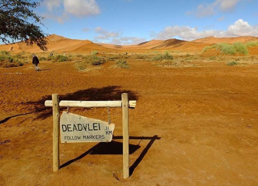 Paisajes surrealistas del parque Namib-Naukluft