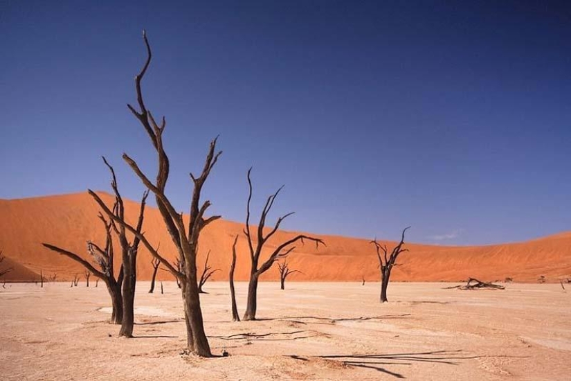 Paisajes surrealistas del parque Namib-Naukluft