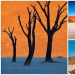 Paisajes surrealistas del parque Namib-Naukluft Paisajes surrealistas del parque Namib-Naukluft