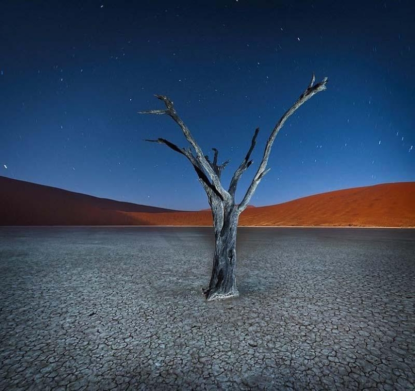 Paisajes surrealistas del parque Namib-Naukluft