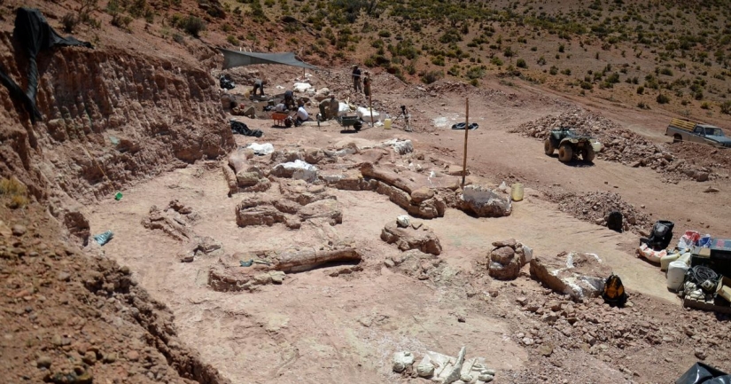 Paleontólogos han desenterrado un dinosaurio del tamaño de un Boeing 737 en la Patagonia