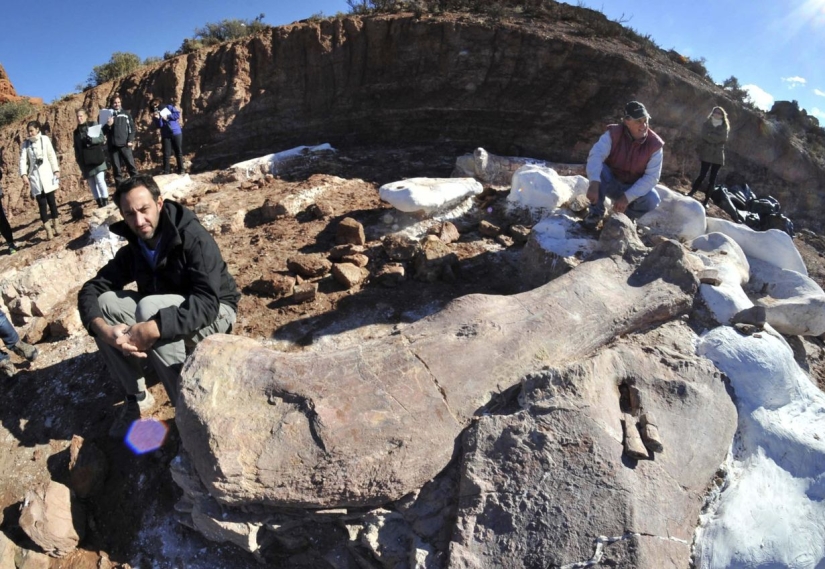Paleontologists have unearthed a dinosaur the size of a Boeing 737 in Patagonia Paleontologists have unearthed a dinosaur the size of a Boeing 737 in Patagonia