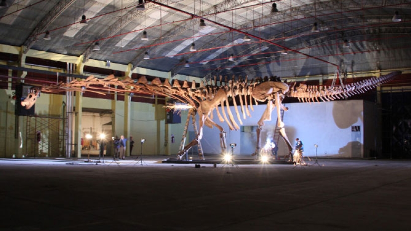 Paleontologists have unearthed a dinosaur the size of a Boeing 737 in Patagonia Paleontologists have unearthed a dinosaur the size of a Boeing 737 in Patagonia