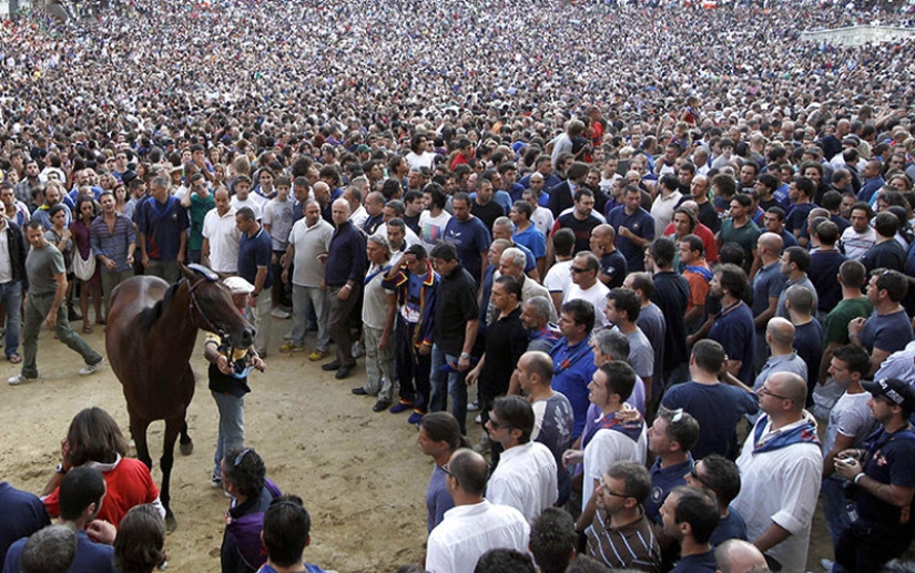 Palio in Siena: horse racing with centuries of tradition