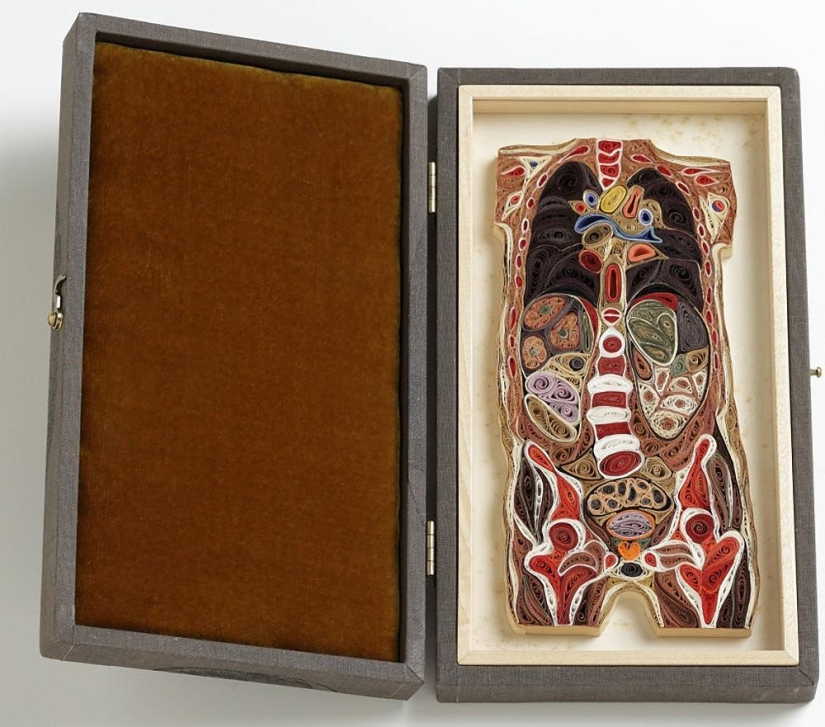 paper anatomy paper anatomy