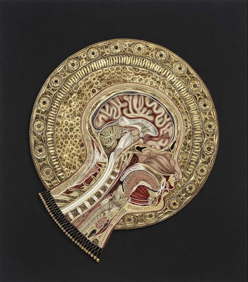 paper anatomy paper anatomy