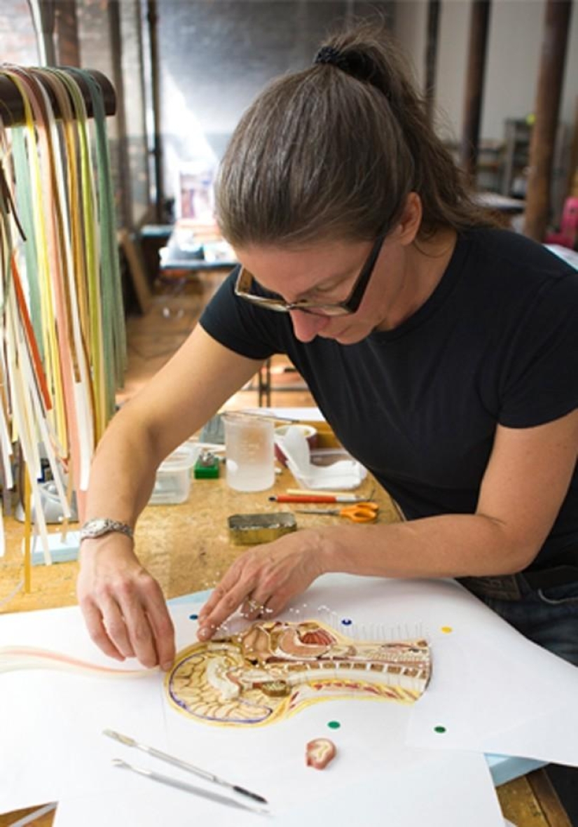 paper anatomy paper anatomy