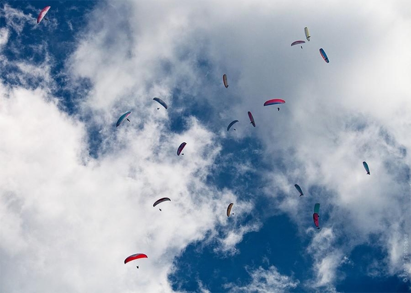Paragliding Carpathian Cup 2013