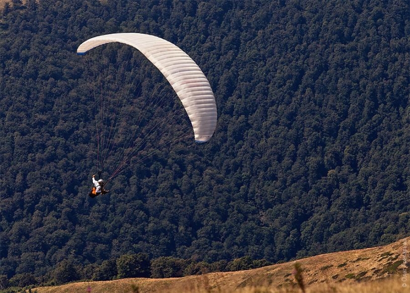 Paragliding Carpathian Cup 2013