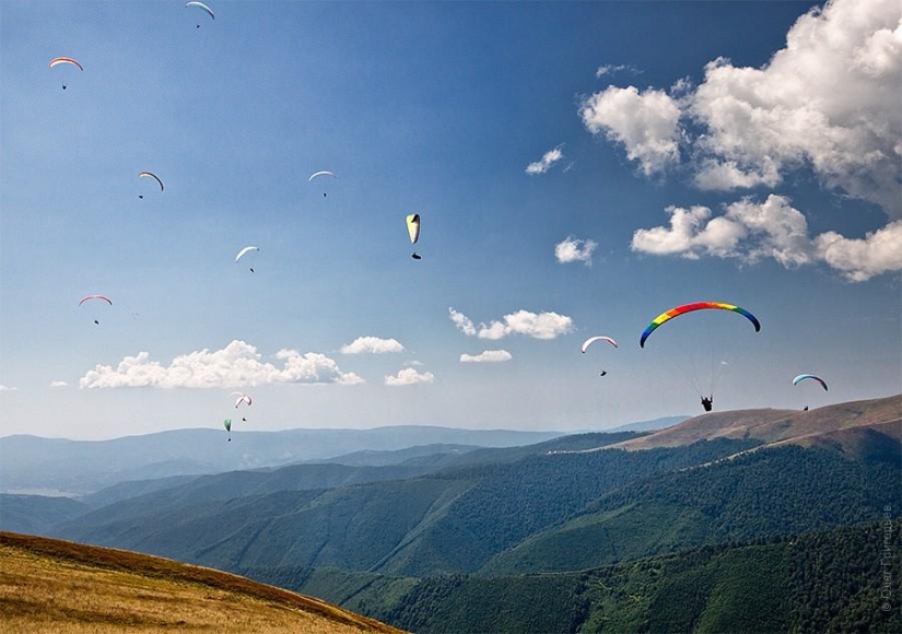 Paragliding Carpathian Cup 2013