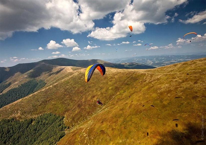 Paragliding Carpathian Cup 2013