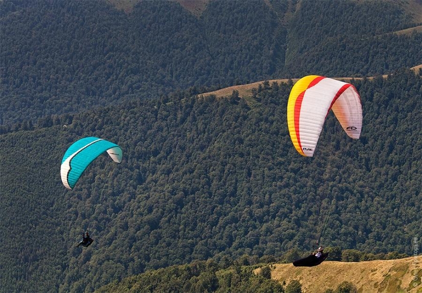 Paragliding Carpathian Cup 2013