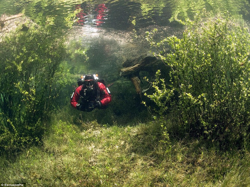 Parque fantasma del lago verde