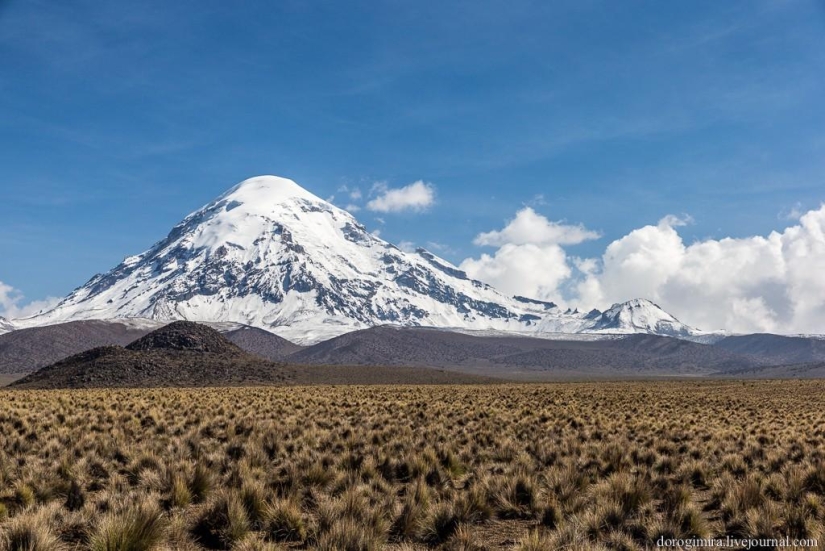 Parque Nacional Sahama