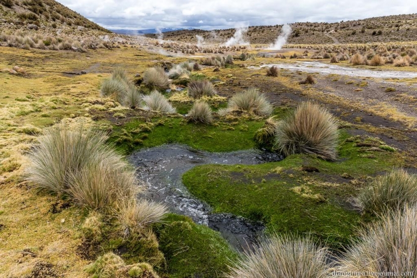 Parque Nacional Sahama