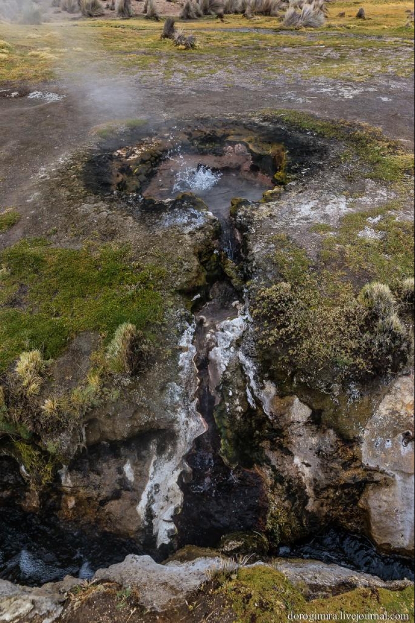 Parque Nacional Sahama