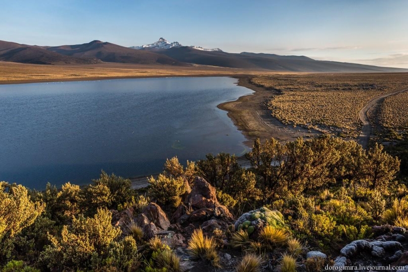 Parque Nacional Sahama