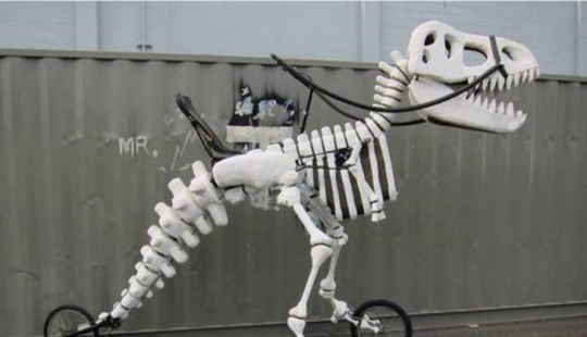 Paseo en bicicleta sobre prejuicios: el ajuste de bicicleta más inusual