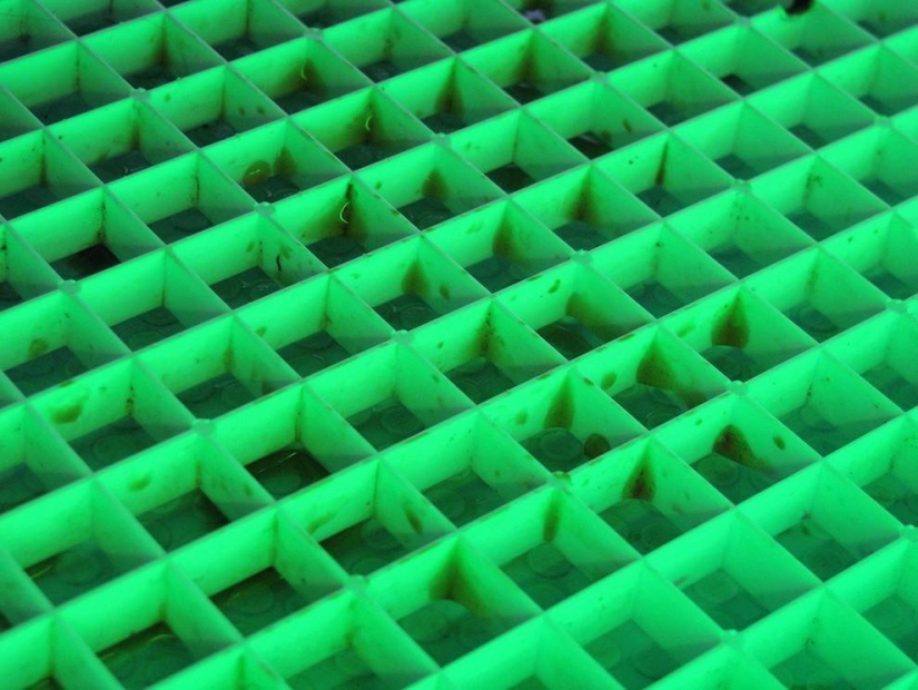 Patterns: Amazing repeats Patterns: Amazing repeats