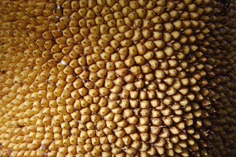 Patterns: Amazing repeats Patterns: Amazing repeats