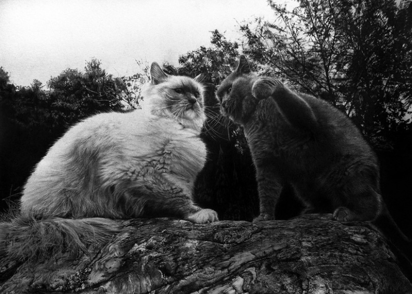 Pencil Sketch Master - Paul Lang