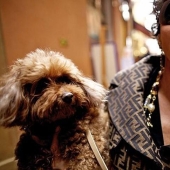 People and Animals: Shooting Secrets