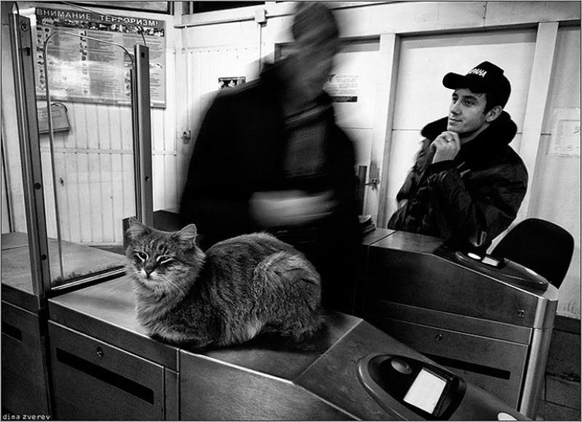 Pequeñas historias del gran metro