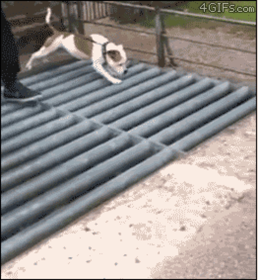 Perro, lo tienes todo mezclado...