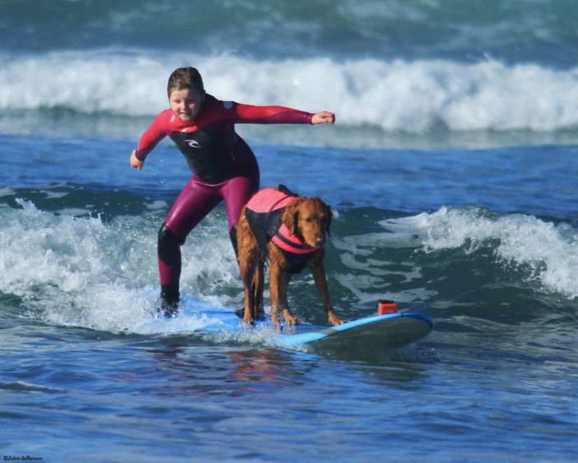 Perro Ricochet surfea con enfermos y los ayuda a recuperarse