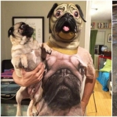 Perros hilarantes están conmocionados por lo que está sucediendo.