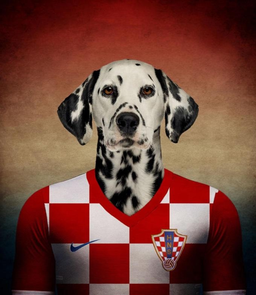 Perros vestidos con los uniformes de las selecciones nacionales del mundo.
