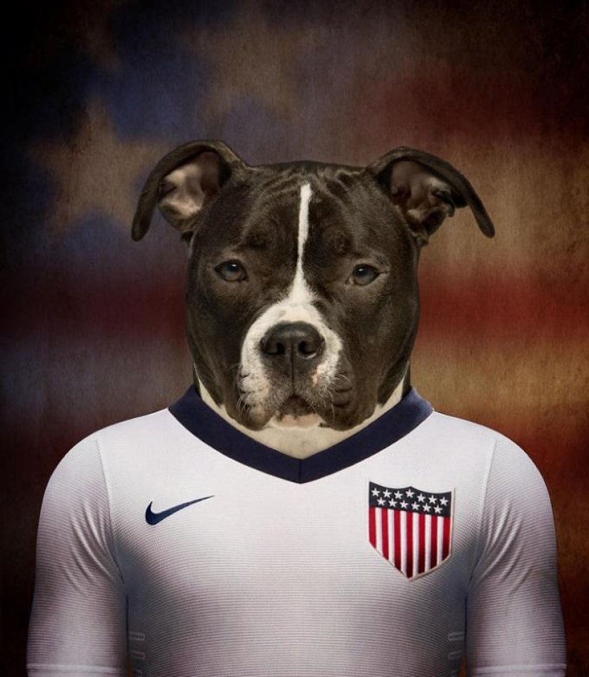 Perros vestidos con los uniformes de las selecciones nacionales del mundo.