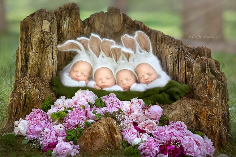 Photo shoot of very rare and absolutely identical quadruplets