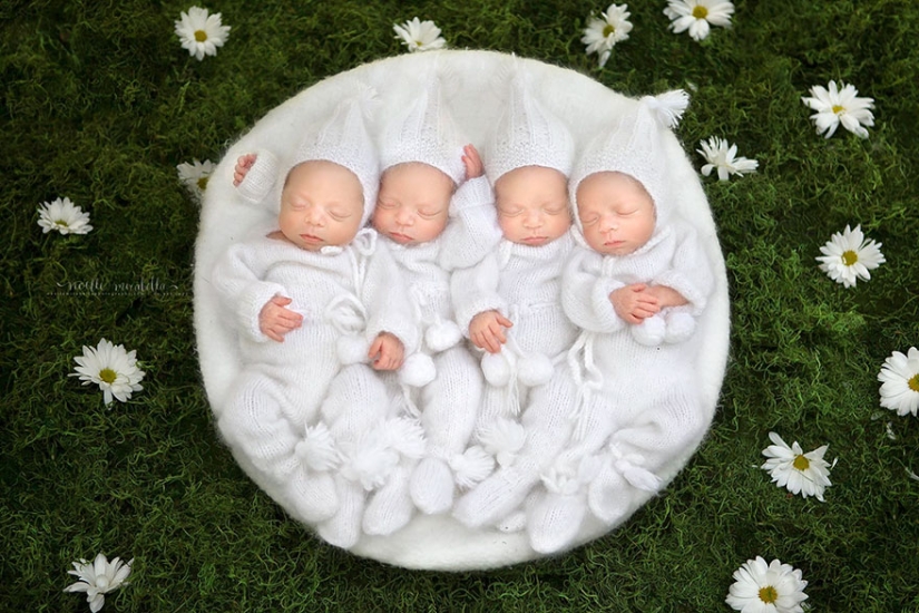 Photo shoot of very rare and absolutely identical quadruplets