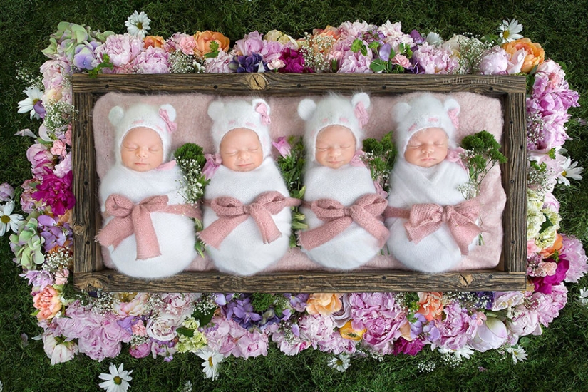 Photo shoot of very rare and absolutely identical quadruplets