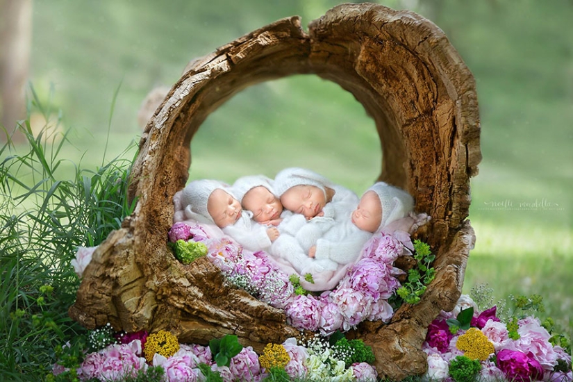 Photo shoot of very rare and absolutely identical quadruplets