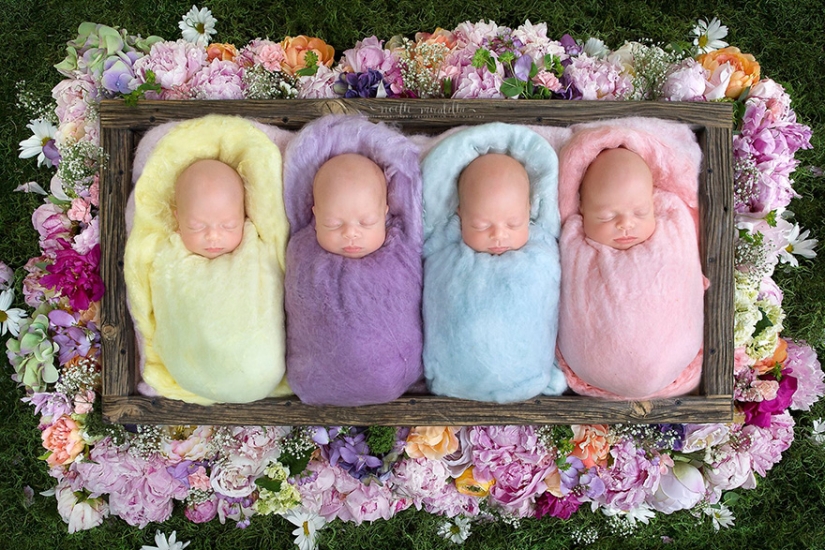 Photo shoot of very rare and absolutely identical quadruplets