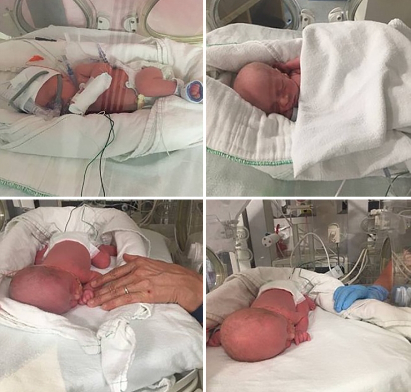Photo shoot of very rare and absolutely identical quadruplets