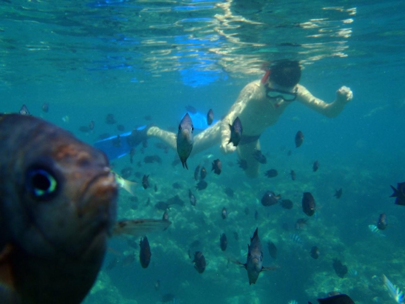 Photobombs and photobombs Photobombs and photobombs