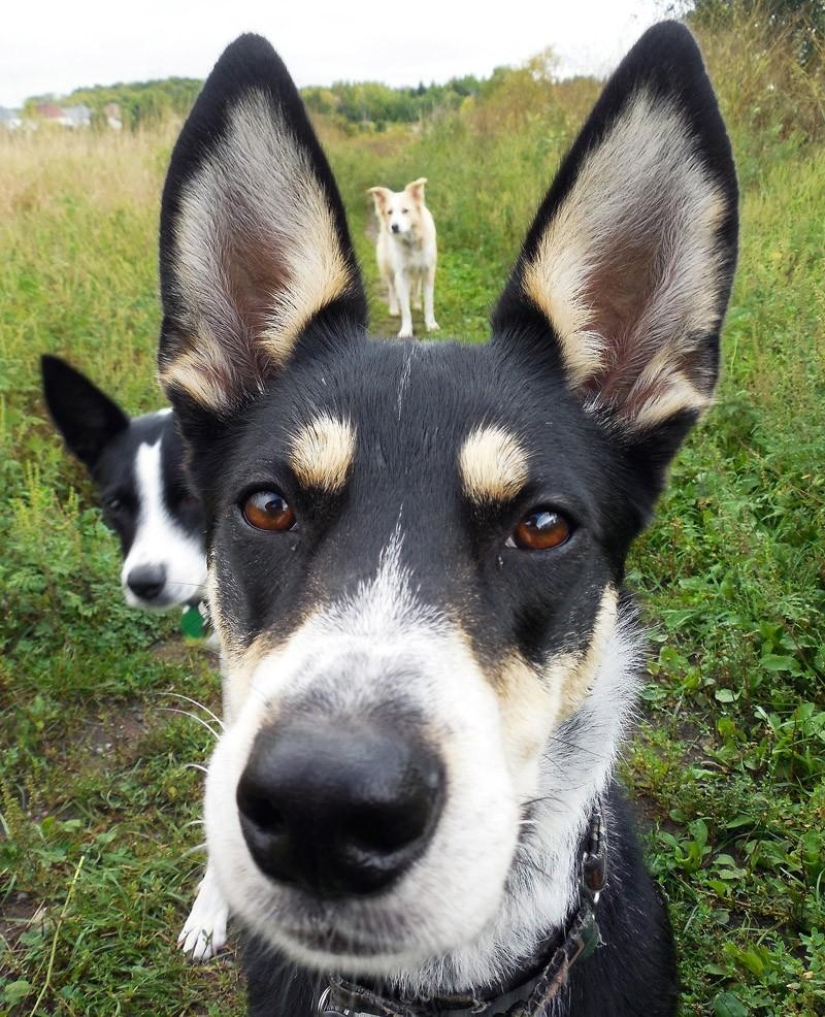 Photobombs and photobombs Photobombs and photobombs